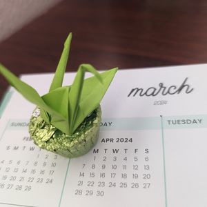 Meet your Posher, Jasper